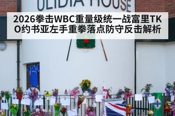 2026拳击WBC重量级统一战富里TKO约书亚左手重拳落点防守反击解析