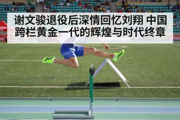 谢文骏退役后深情回忆刘翔 中国跨栏黄金一代的辉煌与时代终章